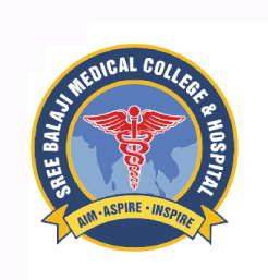 SBMCH BIHER placeholder logo